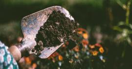 terroir