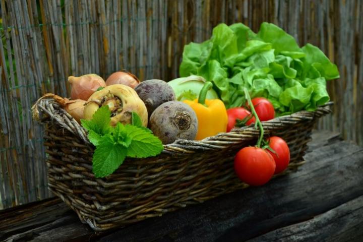 Paniers de légumes frais